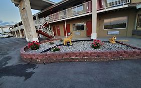 Big Spring Inn Madisonville